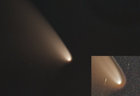 Comet Pannstars