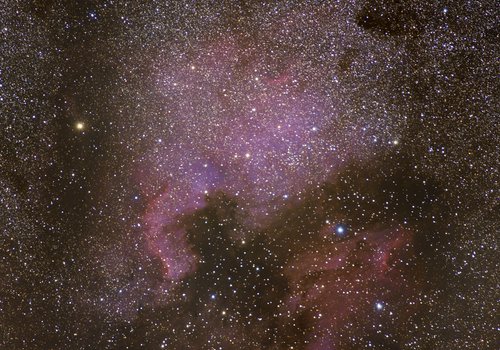 NGC7000n North America Nebula
